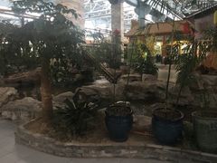 -森谷美食公园(杨行店)