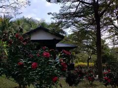 -深圳国际园林花卉博览园