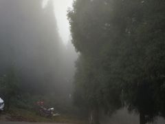 -山王坪喀斯特国家生态公园