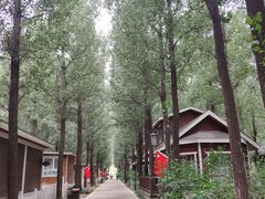 -林栖谷森林康养度假区