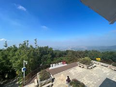 -东莞市大岭山森林公园