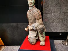 -秦始皇帝陵博物院(兵马俑)