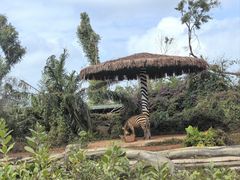 -海南热带野生动植物园