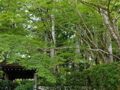 -三千院