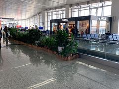 -石家庄正定国际机场-T2航站楼