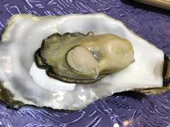 海蛎-福泉海码头(六里山店)