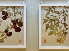 -广东中医药博物馆