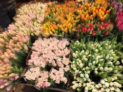 -循礼门鲜花花市(武汉循礼门店)