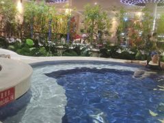 -水晶之星洗浴温泉汗蒸