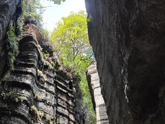 -梭布垭石林景区