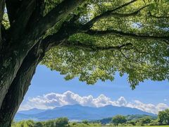 -安徽医科大学第一附属医院(绩溪路院区)