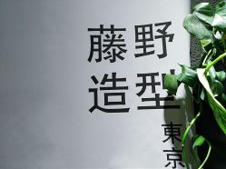 点击看大图 -藤野造型