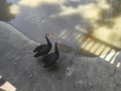 -上海虹桥迎宾馆