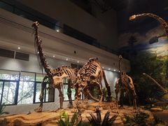 -自贡恐龙博物馆