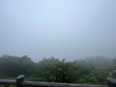 -大姆山草场