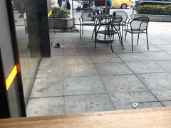 -星巴克臻选(南京艾尚天地店)