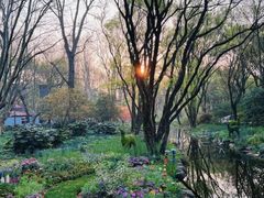 -上海共青森林公园