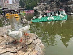 -团结湖公园