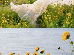 -花·fleur古董西餐厅(西城夜未央店)