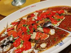 翘嘴鲌鱼-丹江渔村(望京店)