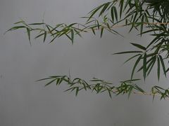 -成都杜甫草堂博物馆