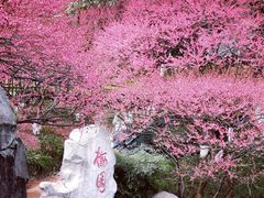 -重庆彩云湖湿地公园