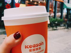 卡布奇诺-iceason爱茜茜里·意大利健康冰淇淋(骑龙巷店)