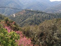 -无量山自然风景保护区