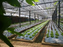 -Ohkajhu Organic Farm Sansai