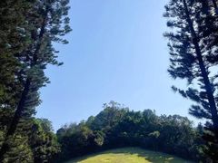-深圳仙湖植物园