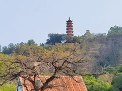 -南沙蒲洲花园