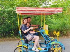 -盐城丹顶鹤湿地生态旅游区