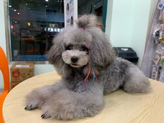 -佳雯宠物医院(金华南路分院)