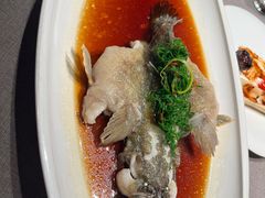-福玺荟(外滩罗斯福店)