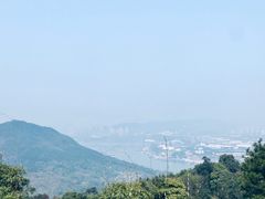 -南山植物园