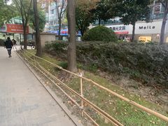 -上海市第四人民医院