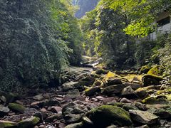 -碧峰峡风景区