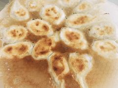 锅贴-添福来墨鱼饺子 · 海鲜东北菜(大连星海·黄浦路店)