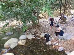 景点-紫云谷景区