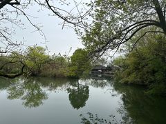 -西溪国家湿地公园