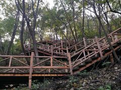 -大岭沟猕猴桃谷风景区