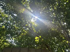 -岳阳站