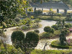 -东莞植物园