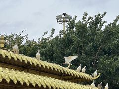 -广州莲花山旅游区