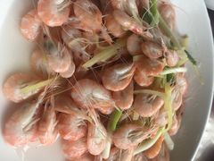 白米虾-元泰酒店