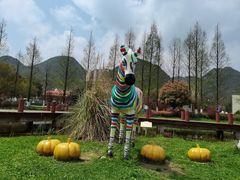 -云漫湖生态度假公园