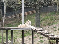 -宁波野生动物园