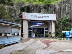 -贝壳梦幻世界