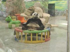 -临沂动植物园
