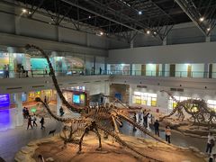 -自贡恐龙博物馆